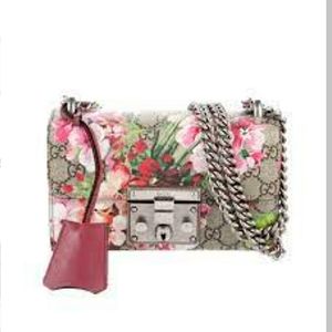 handbags gucci/loiisvuitton